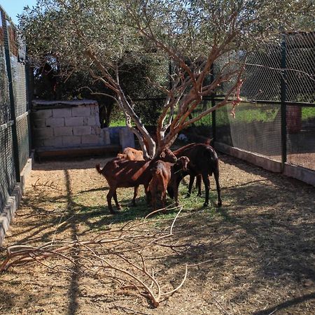 The Farm Hotel Marrakesh Bagian luar foto