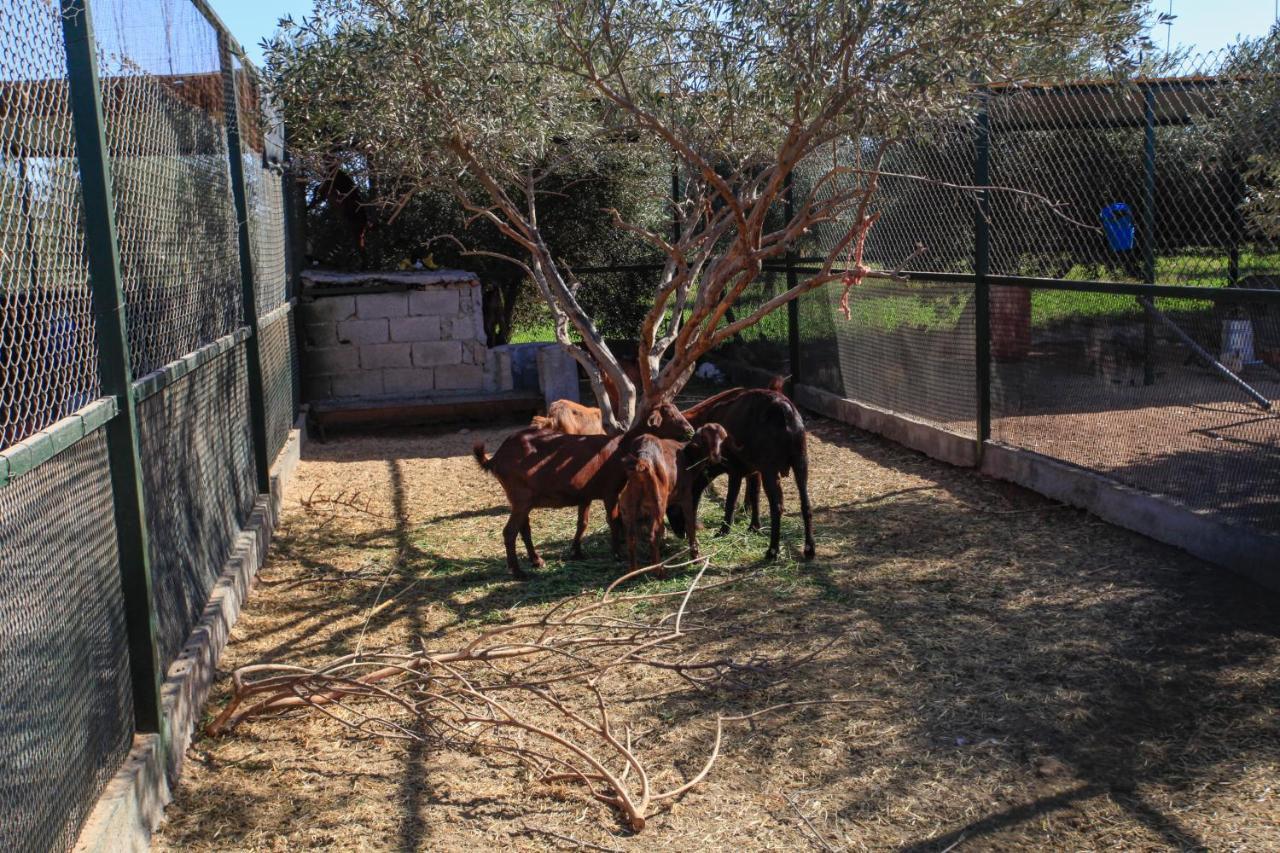 The Farm Hotel Marrakesh Bagian luar foto