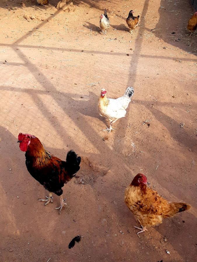The Farm Hotel Marrakesh Bagian luar foto